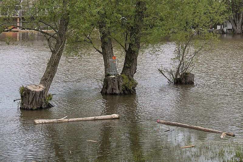 Forecasts show Lake Ontario could be higher in early 2020 than in 2019